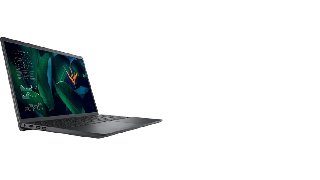 Dell 15